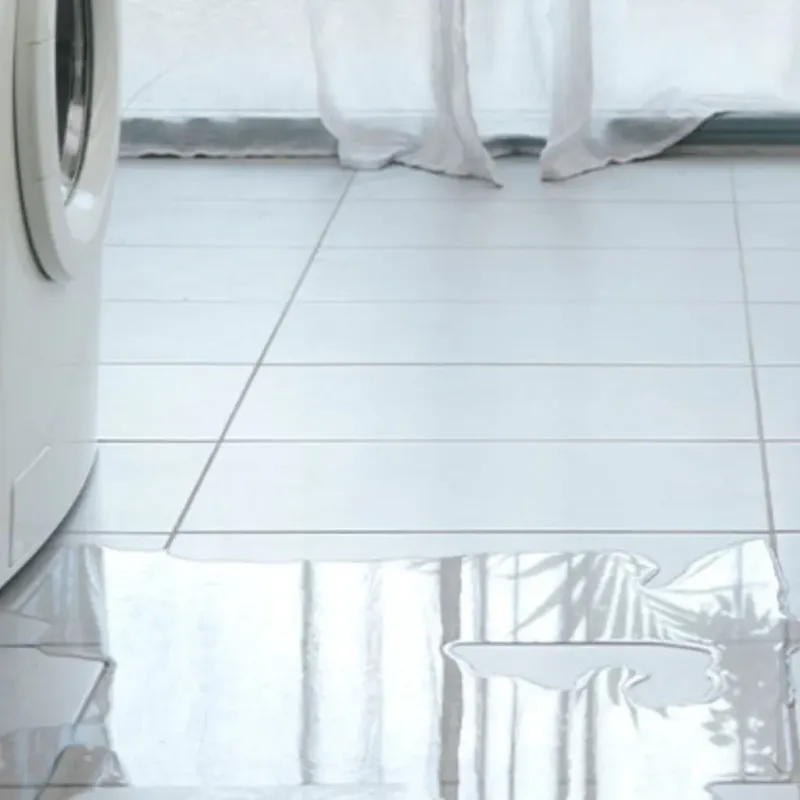 Appliance Leak Cleanup in Forsyth County, NC