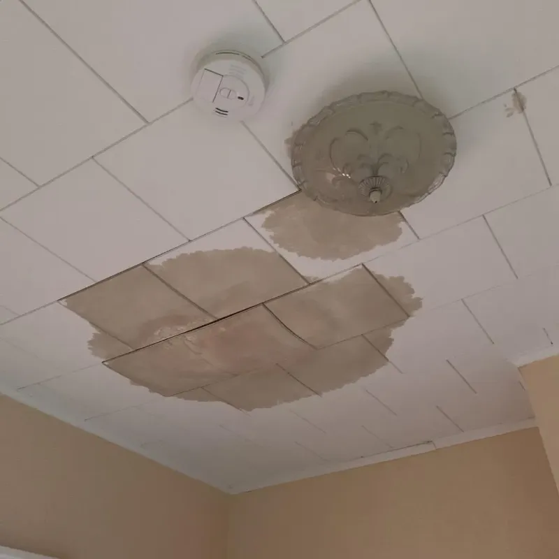 Ceiling Water Damage Repair in Forsyth County, NC