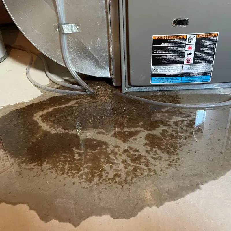 Pipe Burst and Leak Restoration in Forsyth County, NC