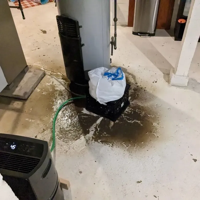 Sewage Backup Cleanup Service in Forsyth County, NC